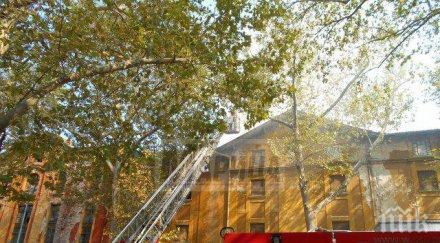 стихията разраства огънят прехвърли два склада пловдив