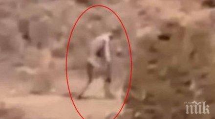 уфолози шок откъде долетяло същество видео