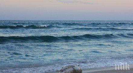 мрежите виновни масовия мор делфини