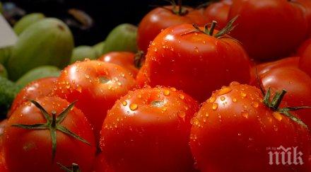 такава реклама какви домати продават софия снимка