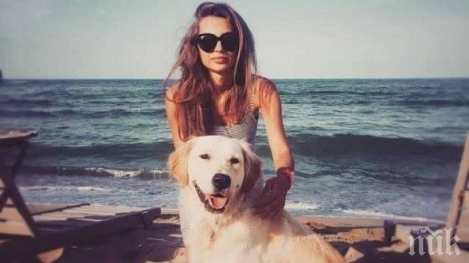 Къде почиват звездите? Фукат се от морето в разгара на лятото