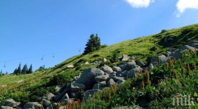 Спасиха холандка в Стара планина