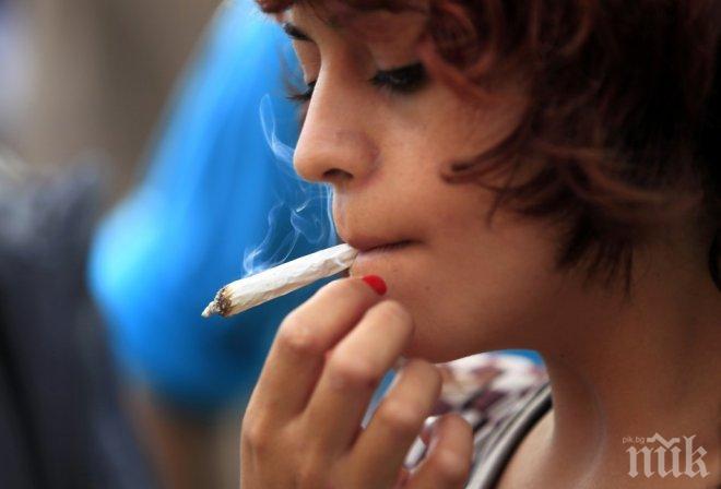 Полша обмисля легализация на марихуаната