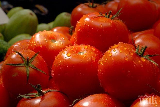 Няма такава реклама! Ето какви домати се продават в София (СНИМКА)