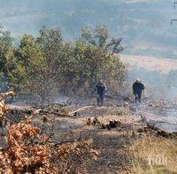 Задържаха предполагаем подпалвач на големия пожар в Сакар планина