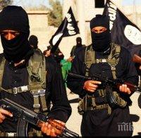 Спецслужбите разкриха: 