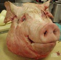 Евродепутат иска свински глави по границите за страх и ужас на мигрантите