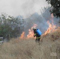 Огнената стихия край Харманли продължава, 14 екипа се борят с пламъците
