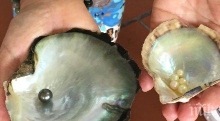 филипински рибар уловил килограмова перла