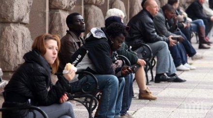 нова акция нелегални мигранти задържаха чужденци без документи лъвов мост