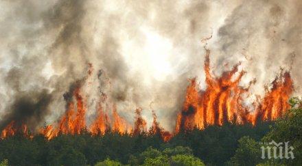 версия фотоволтаик подпалил огъня харманлийско