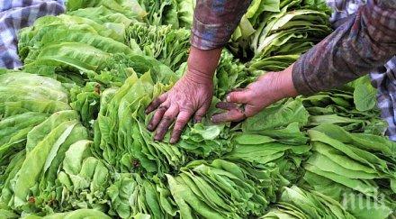 гърци оставиха тютюнджии без пари