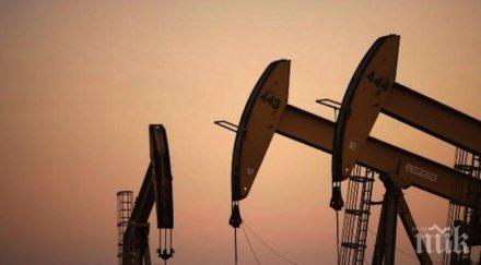 петролът поевтиня борсите