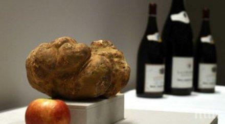 австралиец изкопа трюфел гигант 2000 долара