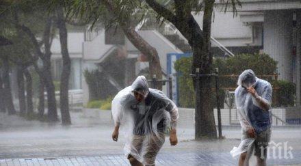 тайфунът миндуле уби един рани повече япония