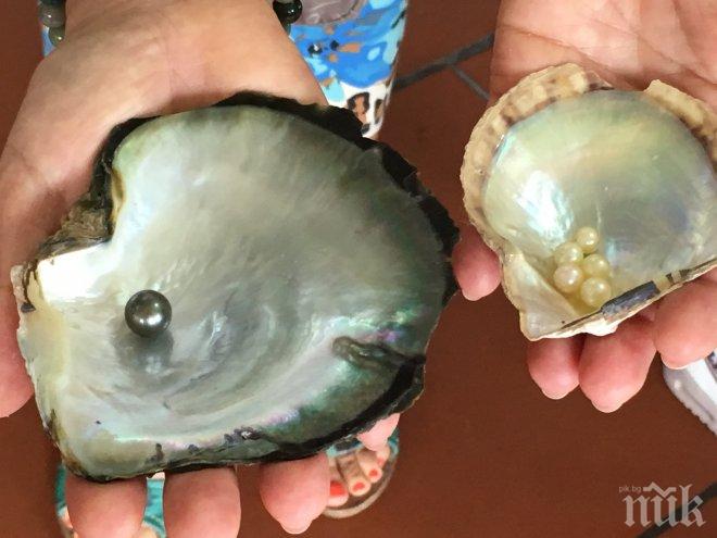 Филипински рибар „уловил” 34-килограмова перла