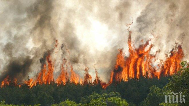 Версия: Фотоволтаик подпалил огъня в Харманлийско