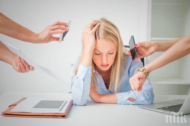 Внимание! Каквато зодията, такъв и началникът