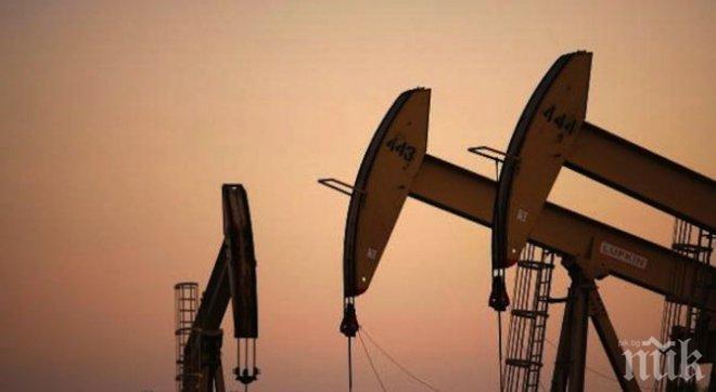 Петролът поевтиня на борсите