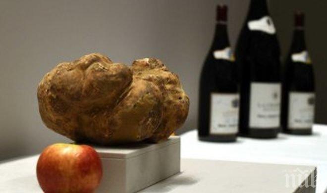 Австралиец изкопа трюфел гигант за 2000 долара