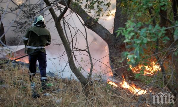 Огнената стихия край Харманли вече е овладяна