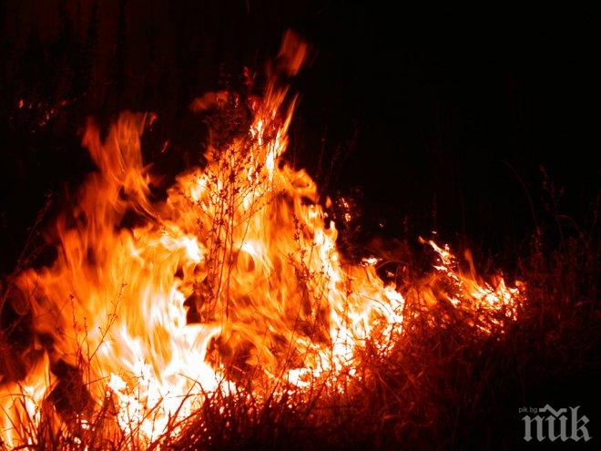Огненият ад продължава! Нов пожар лумна край Хасково. Пътят Харманли - Маджарово е затворен