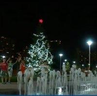 Празниците подраниха! Коледна елха грейна в столичен парк (СНИМКА)