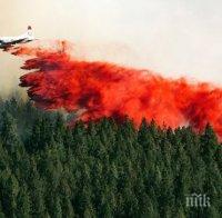Извънредно положение в щата Вашингтон! Силните пожари на стихват (СНИМКИ)