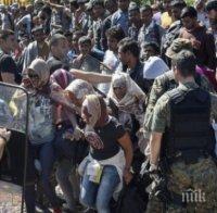В Румъния разбиха оглавявана от жена група за трафик на мигранти