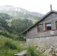 Чешка туристка в Нова Зеландия  чака цял месец да я спасят 