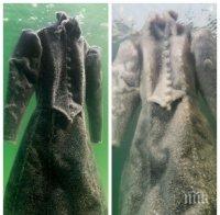 Престояла 2 години в Мъртво море рокля на израелска художничка промени цвета си (СНИМКИ)