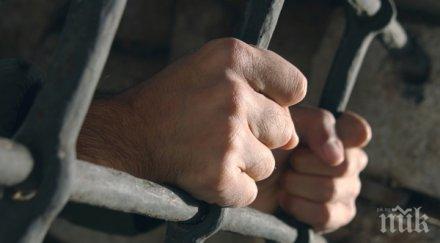 безработен отнесе присъда години кражба кубика дърва