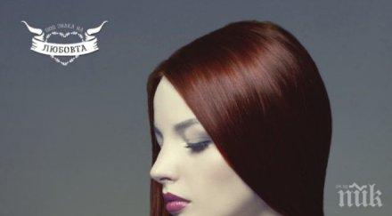 сензация любовни интриги луда страст бестселъра заради теб