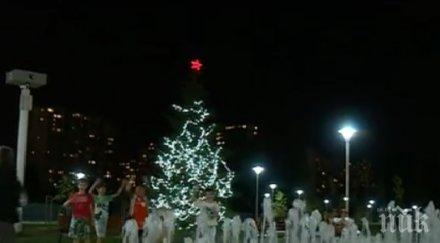 празниците подраниха коледна елха грейна столичен парк снимка