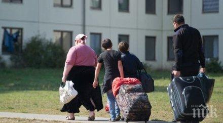 рекорден брой мигранти отказват убежище швеция