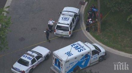 стрелба арбалет торонто трима убити двама ранени