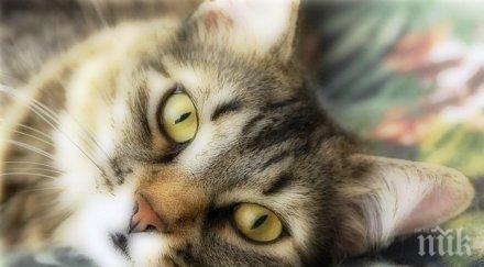 знаят бъдат победители живота