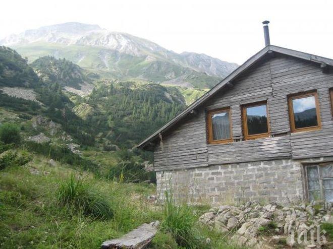 Чешка туристка в Нова Зеландия  чака цял месец да я спасят 