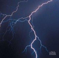 Трагедия! Мълния уби 300 северни елена в Норвегия