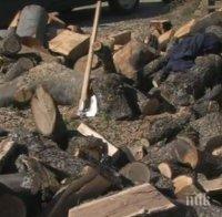 Запасяването с дърва за зимата вече започна