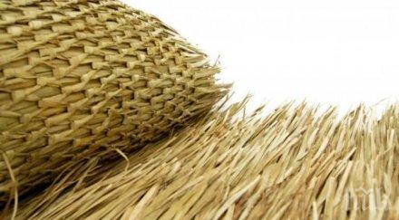 смайващо съдбата всеки човек записана палмово листо