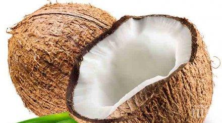 храните съблазънта еротиката