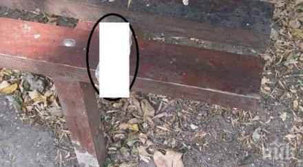 използван презерватив втрещи майка варна