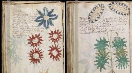 извънредно учени цял свят обединяват разшифроват ръкописа войнич открият тайната живота