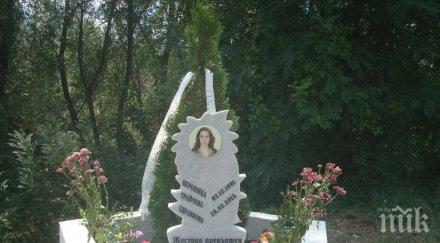 тъжен спомен каменно цвете цъфна лобното красивата вероника