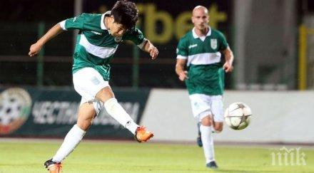 японец съсече пирин стара загора