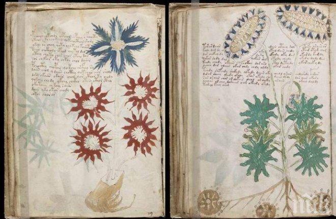 ИЗВЪНРЕДНО! Учени от цял свят се обединяват, за да разшифроват ръкописа на Войнич и да открият тайната на живота