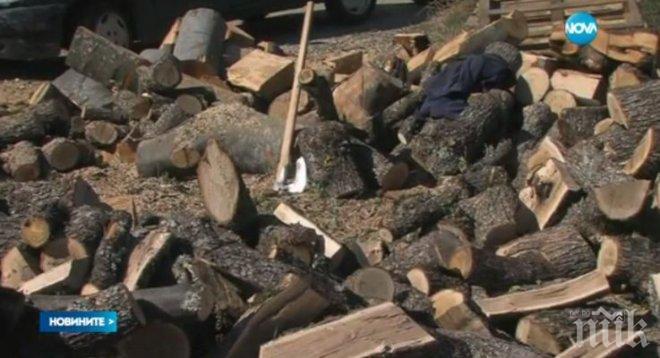 Запасяването с дърва за зимата вече започна