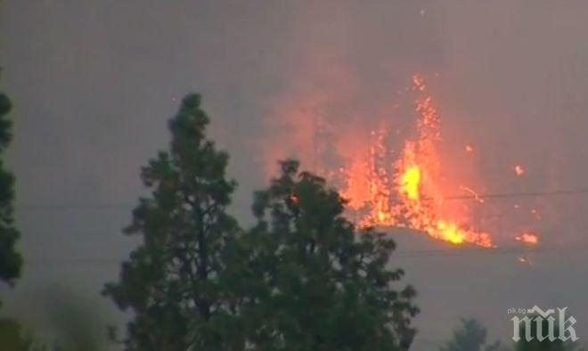 Голям горски пожар евакуира цял град в Щатите
