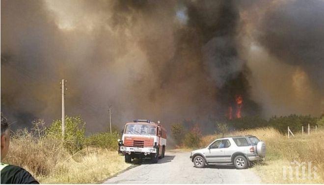 Пожар изпепели 2500 декара в Гълъбово, отмениха бедственото положение 